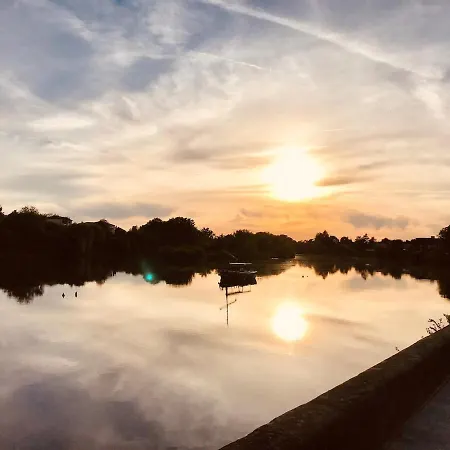 Cicadas And Birds Sing To The Setting Sun *